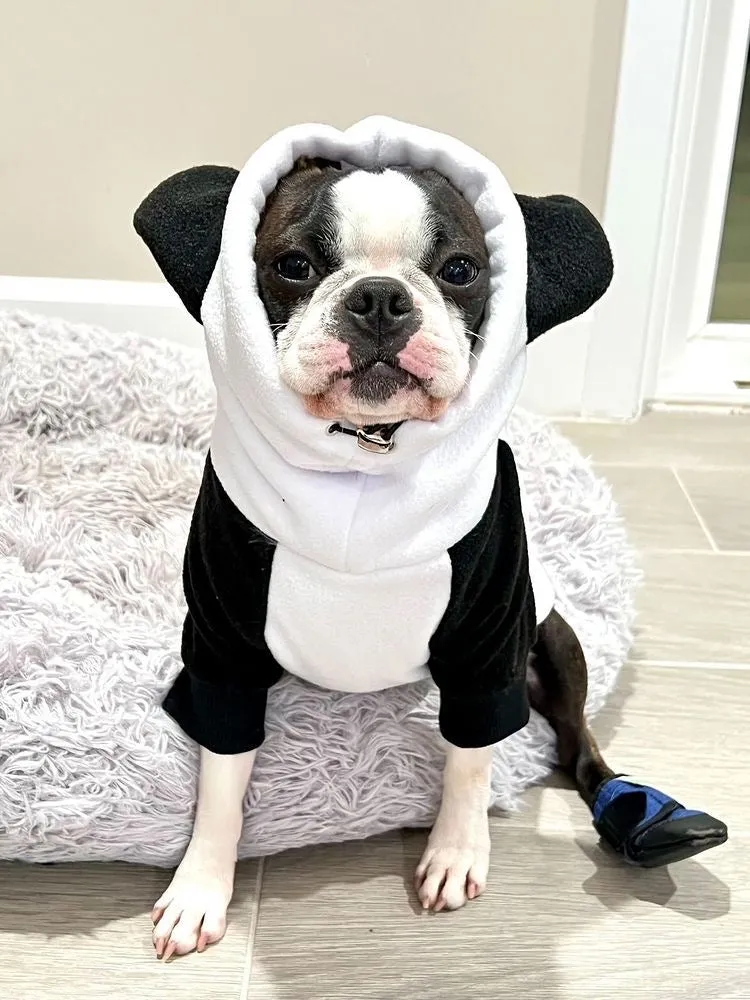 Frenchiestore Organic Dog Frenchie Ear hoodie | Panda Bear